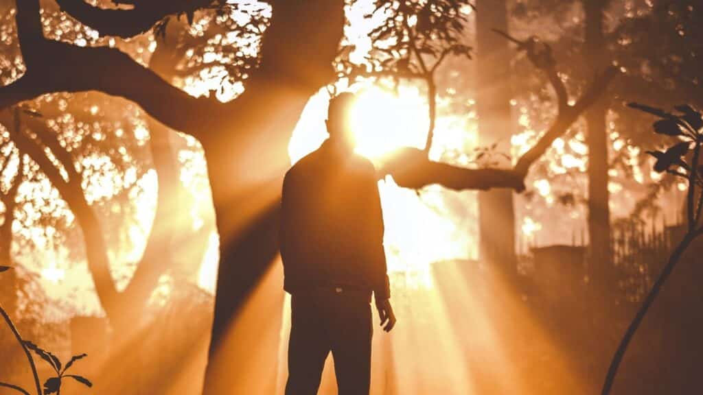 Man walking into light from dark forest symbolizing what the Bible says about shame and being honest with God